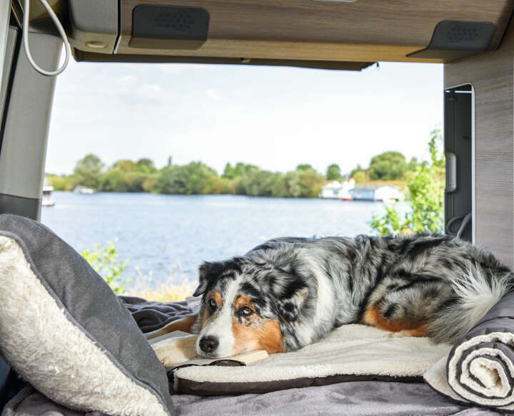 WOLTERS Reisedecke Vagabund